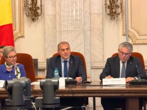 grup sprijin-conducere